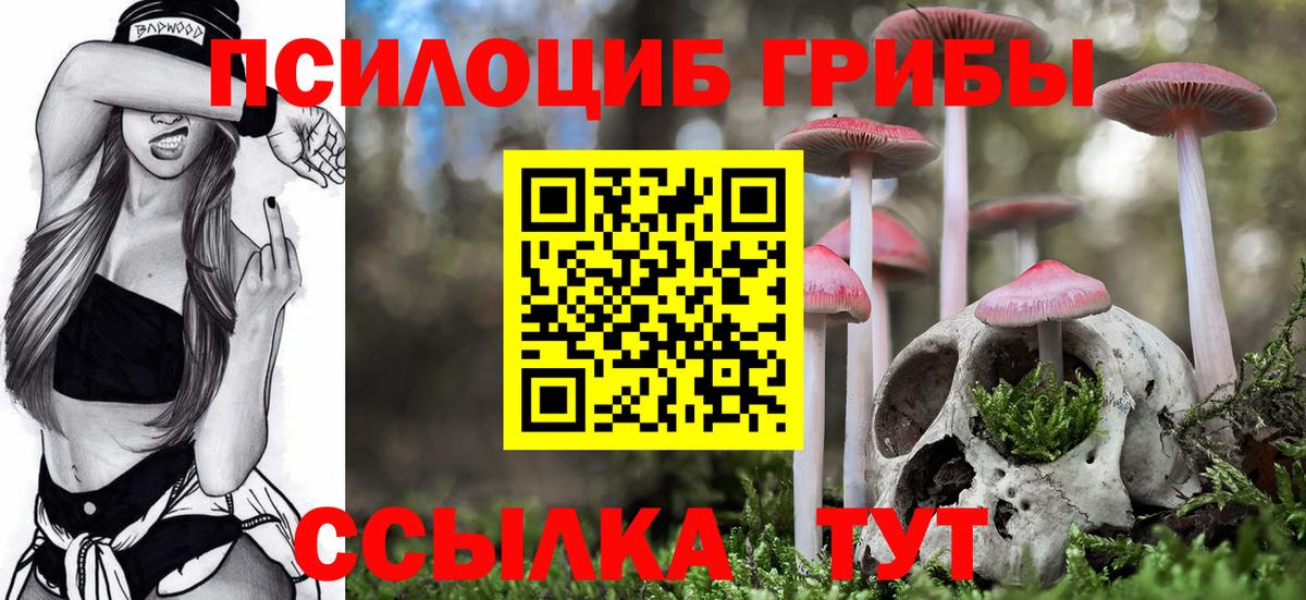 Псилоцибиновые грибы прущие грибы Калининград